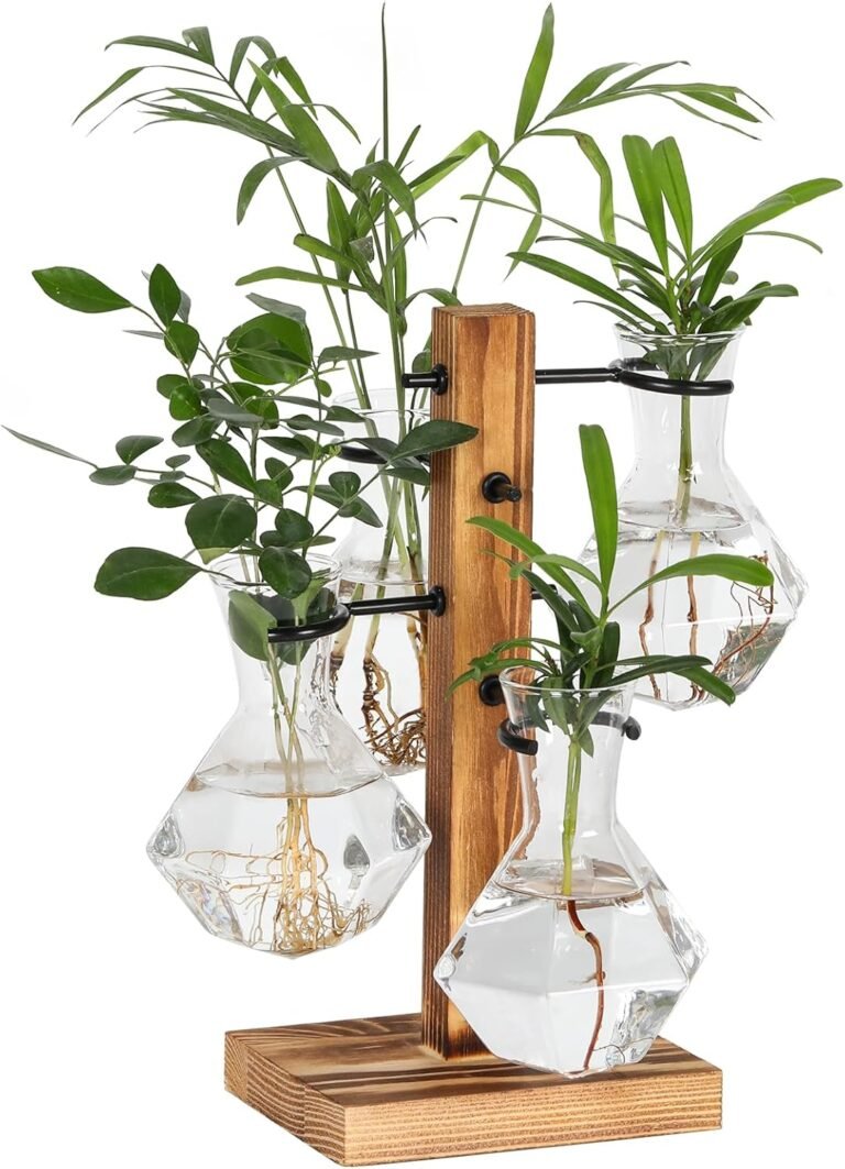 Planter Terrariums Package, Desktop Hydroponics Air Planter Holder, Plant Propagation Station with 4 Glass Vase and Strong Wooden Stand, Gardening Reward for Ladies and Plant Lovers