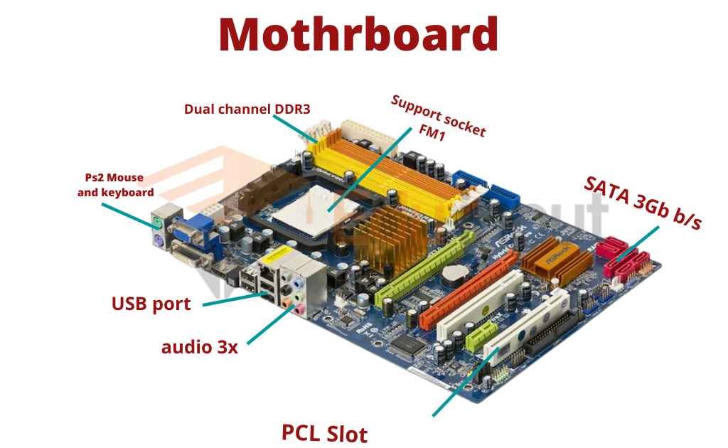 motherboard image from dynamichub dynamiconlinestore.com